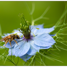Ip Série 2 - 4 ème place //
DONATI Bruno - À table