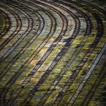 VdR Couleur - 2 ème place //
ROUSSET Noël - les voies du silence