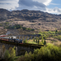 VdR Couleur - 4 ème place //
MOREAU Jean Pierre - The Jacobite